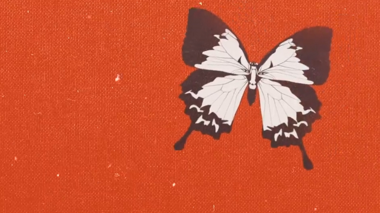 Met Him Last Night – Remix