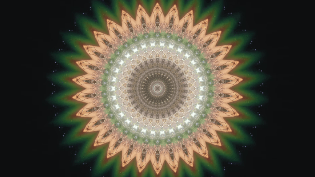 Freedom Of The&nbsp;Night