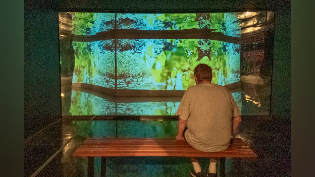 Gaia – O Enigma&nbsp;Humano