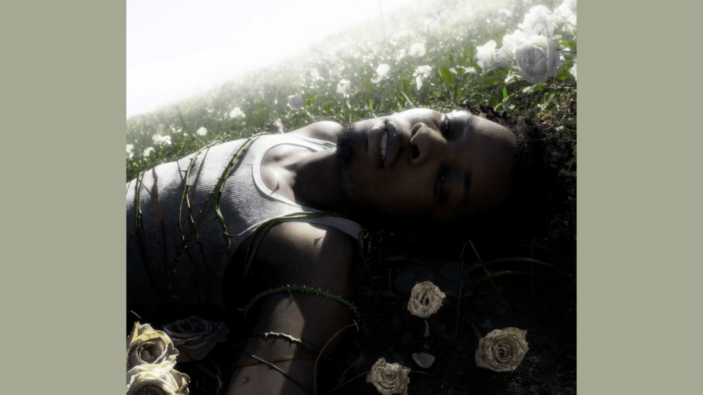 Pocket Show De&nbsp;D4vd