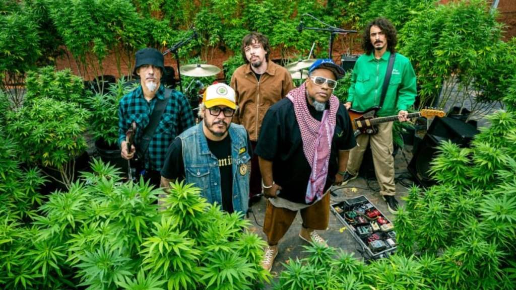 Despedida Do Planet&nbsp;Hemp