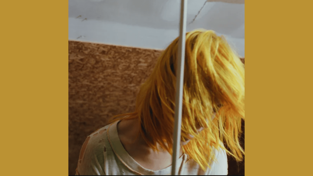 Lançamento De Hayley&nbsp;Williams